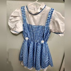 Dorothy costume dress size small